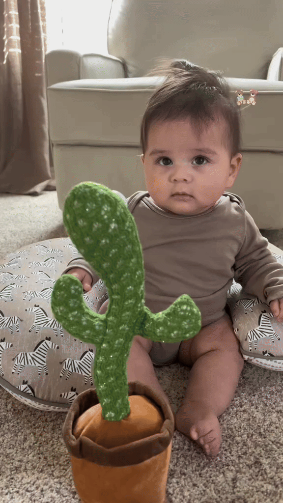 Dancing Cactus Toy LivSmart